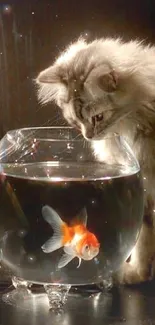 Fluffy cat gazes at a goldfish swimming in a clear bowl.