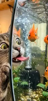 Cat curiously looking at goldfish in a tank.