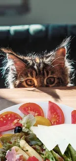 Curious cat peeking over a table with a colorful salad.