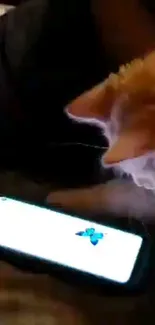 Orange cat intrigued by digital butterfly on phone screen.