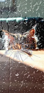 Curious cat peeks through a cracked glass effect.