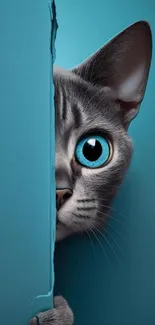 Curious cat with blue eyes peeking through a blue backdrop.