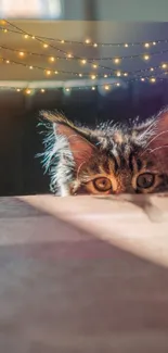 Curious cat peeks under fairy lights with a warm, whimsical vibe.