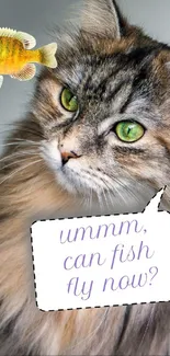 Funny wallpaper of a cat watching a flying fish.