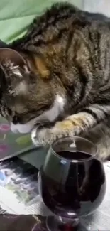 Curious tabby cat touching a wine glass.