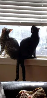 Two curious cats sitting by a sunlit window, gazing outside.