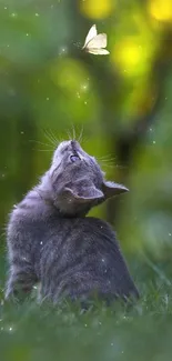 Kitten curiously looking at a butterfly in a lush green setting.