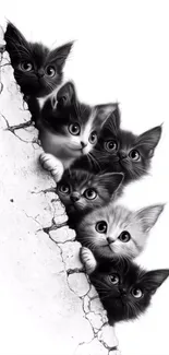 Curious kittens peeking through cracked wall art.
