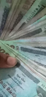 Fan of banknotes with a hand holding one corner.