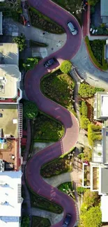 Aerial view of a famous curvy road lined with greenery in an urban setting.