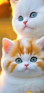 Adorable white and orange kittens with blue eyes in a sunny setting.