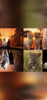 Collage of cute kittens, tigers, leopard, and cats in warm tones.