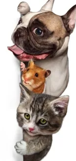 Adorable wallpaper with a dog, cat, and hamster for mobile devices.