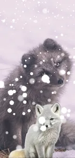 Two adorable arctic foxes in a snowy winter landscape.