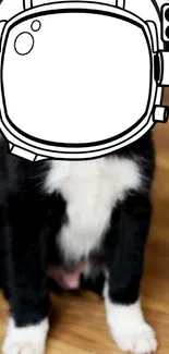 Playful black and white cat with an astronaut helmet illustration on wood floor.