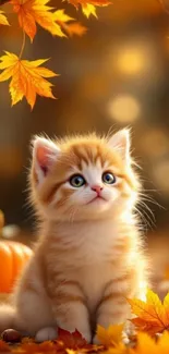 Cute kitten surrounded by autumn leaves and pumpkins.
