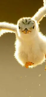 Adorable fluffy baby bird mid-flight with a warm brown background.