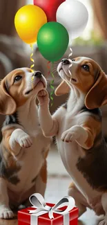 Beagle puppies playing with colorful balloons on a sunny day.