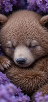 Sleeping bear cub among purple flowers.