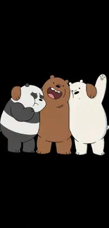 Cartoon bear trio on black background wallpaper.