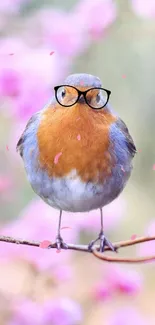 Bird with glasses on pink blossoms, creating a cute mobile wallpaper.