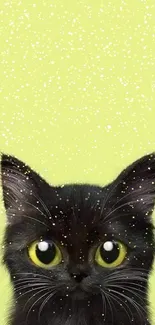 Cute black cat with yellow eyes on lime green background.