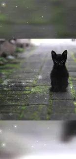 Charming black kitten on a mossy path wallpaper.