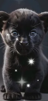 Cute black panther cub with sparkling eyes against a dark backdrop.