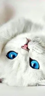 Adorable white kitten with blue eyes mobile wallpaper.