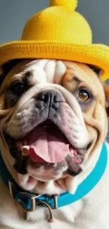 Adorable bulldog wearing a yellow hat.
