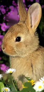 Cute brown bunny in a field of daisies and purple flowers.