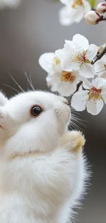 A white bunny admiring cherry blossoms in springtime.