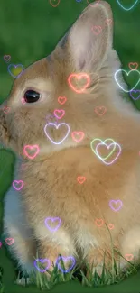 Cute brown bunny with neon hearts on a grassy field.