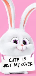 Adorable animated bunny with a pink background holding a playful sign.