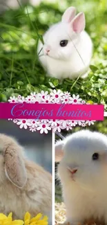 Adorable bunnies collage with greenery and flowers.