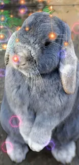 Gray bunny with glowing hexagon overlay, on a textured background.