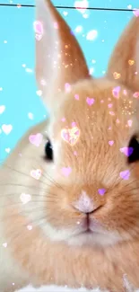 Adorable bunny with heart effects on blue background.