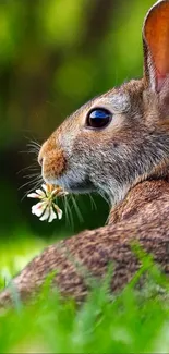 Cute bunny with flower in lush green grass.