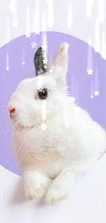 Adorable white bunny with starry effects in a purple circle background.