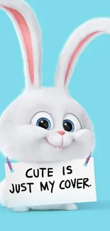 Adorable cartoon bunny holding a sign on a light blue background.