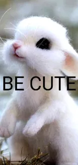 Cute baby bunny wallpaper with 'Be Cute' text.