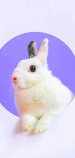 Adorable white bunny in a purple circle design.