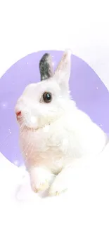 Cute white bunny in pastel purple circle.