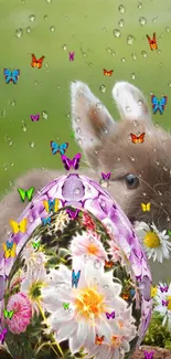 Cute bunny with Easter egg and butterflies, green background.