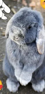 Cute grey bunny with colorful emojis on a natural backdrop.