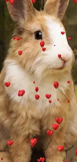 Adorable bunny with floating red hearts in nature.