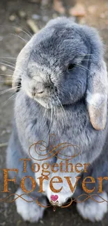 Cute grey bunny with 'Together Forever' message on mobile wallpaper.