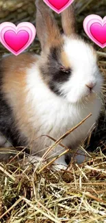 Cute bunny with pink hearts in nature scene.