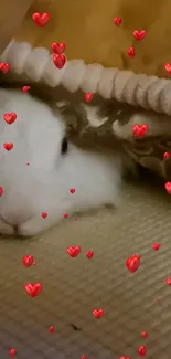 Cute bunny under a blanket with red hearts design.