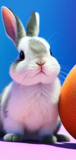 Adorable gray and white bunny beside an orange sphere on a colorful gradient background.